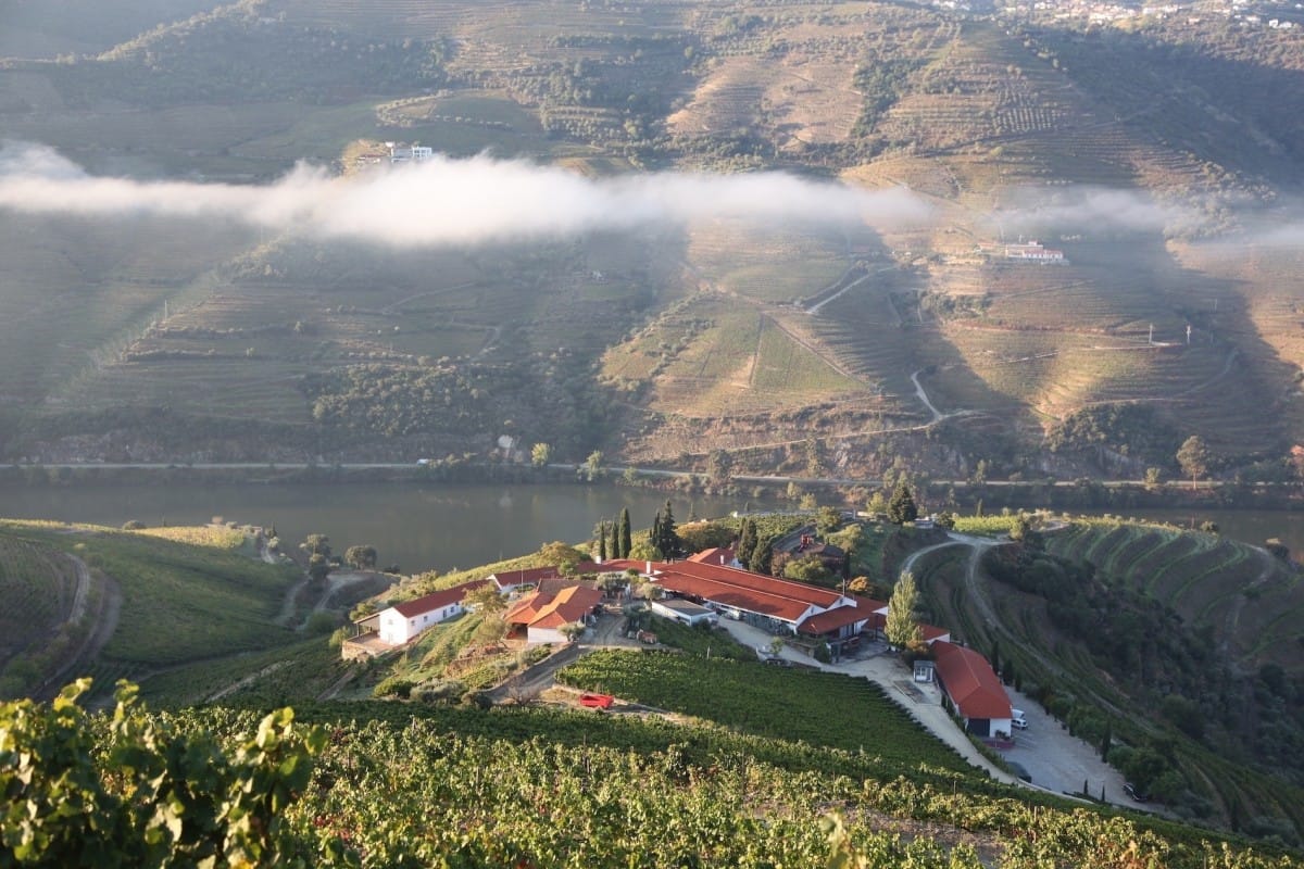 A Journey Through Quinta Nova: Douro’s Legacy in Every Bottle